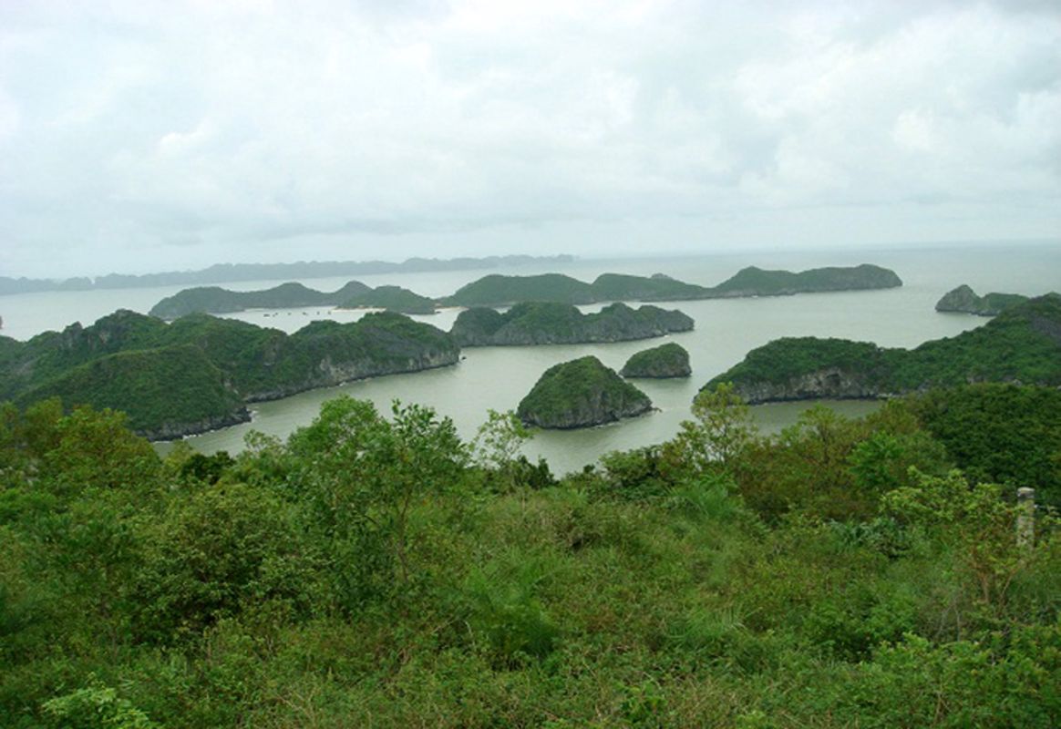 Learn Cat Ba’s eco-legacy with expert insights