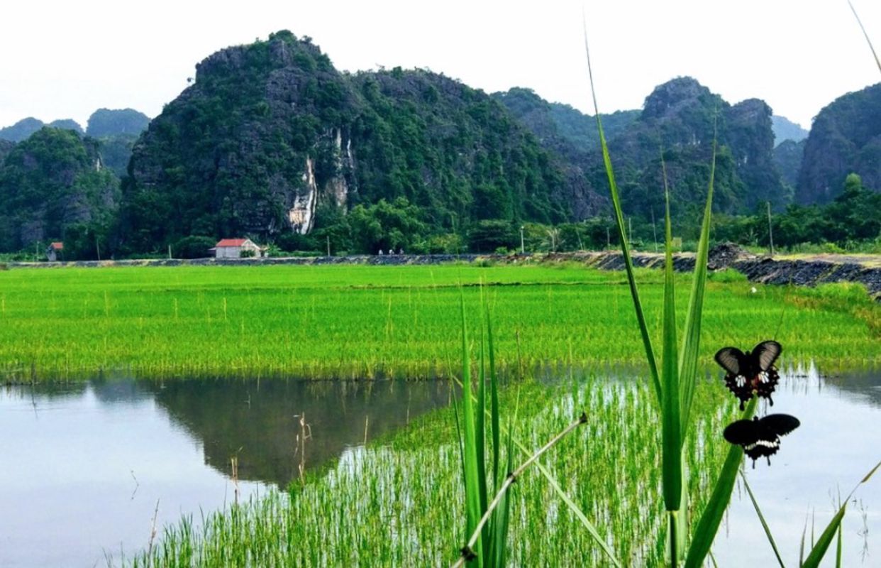 Photograph the tranquil allure of Ninh Binh’s heritage