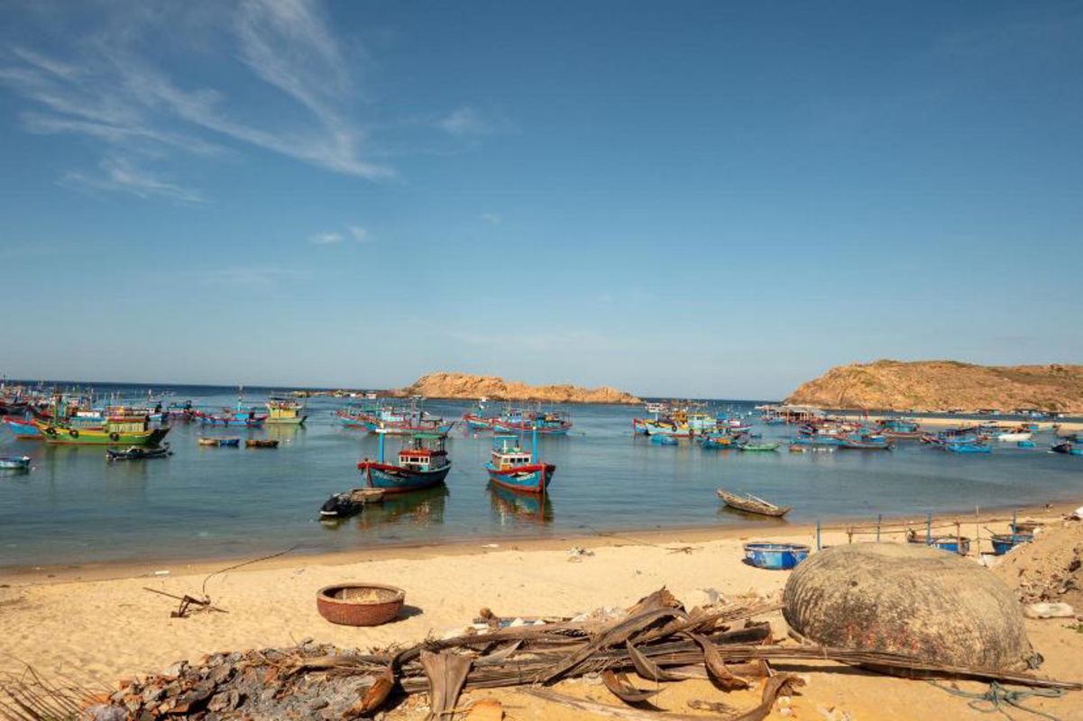 Dive into the vibrant waters of Quy Nhon Travel