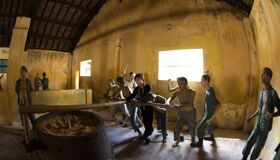 Dive into the solemn charm of Con Dao Travel