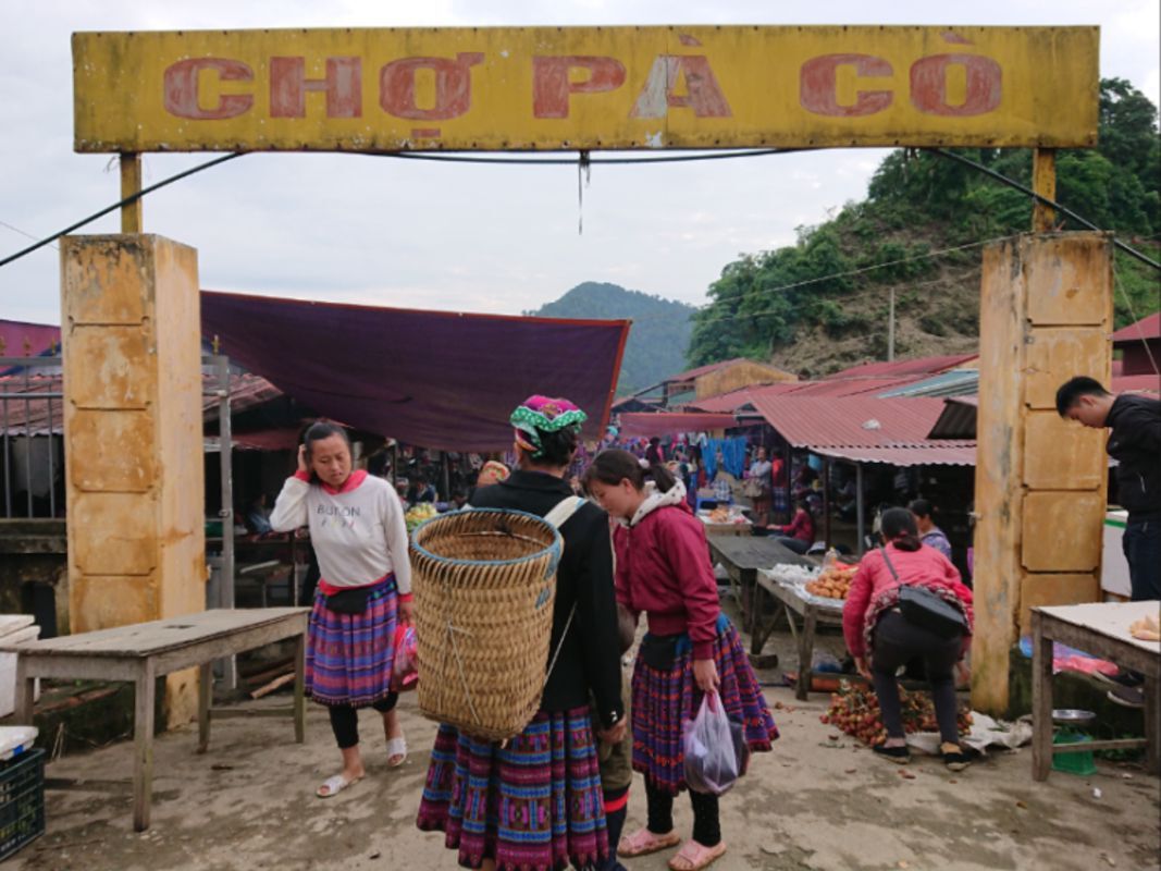 Dive into the vibrant charm of Hoa Binh Travel