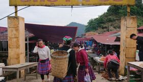 Dive into the vibrant charm of Hoa Binh Travel