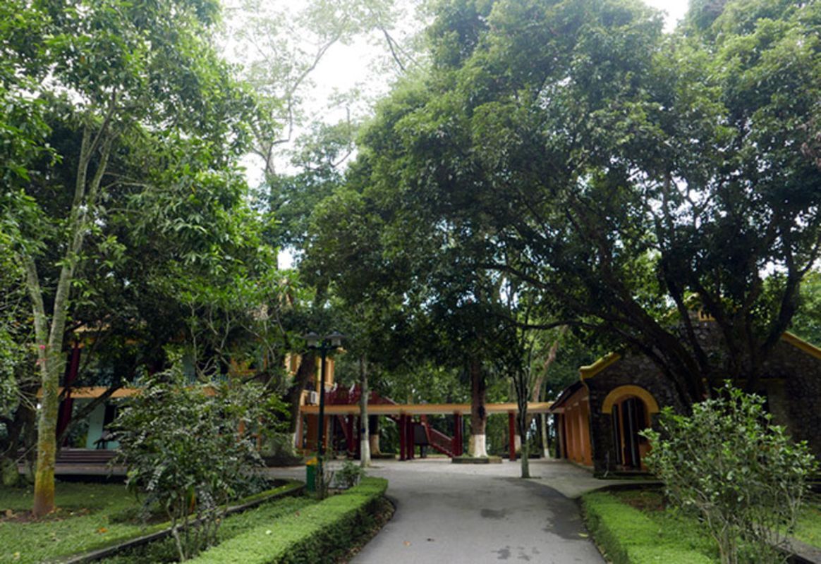 Experience Hanoi Tours with sustainable adventures