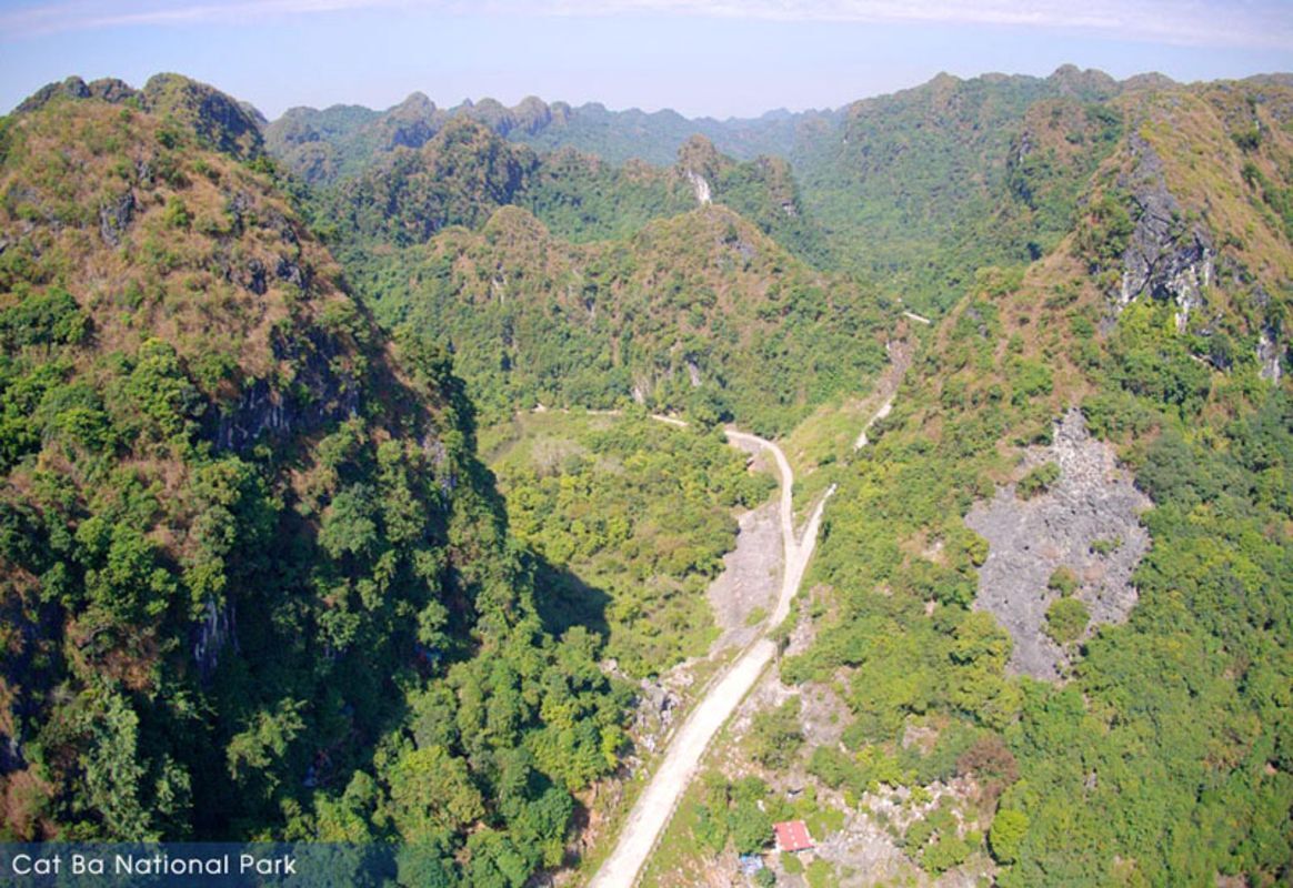 Photograph the vibrant allure of Cat Ba’s nature
