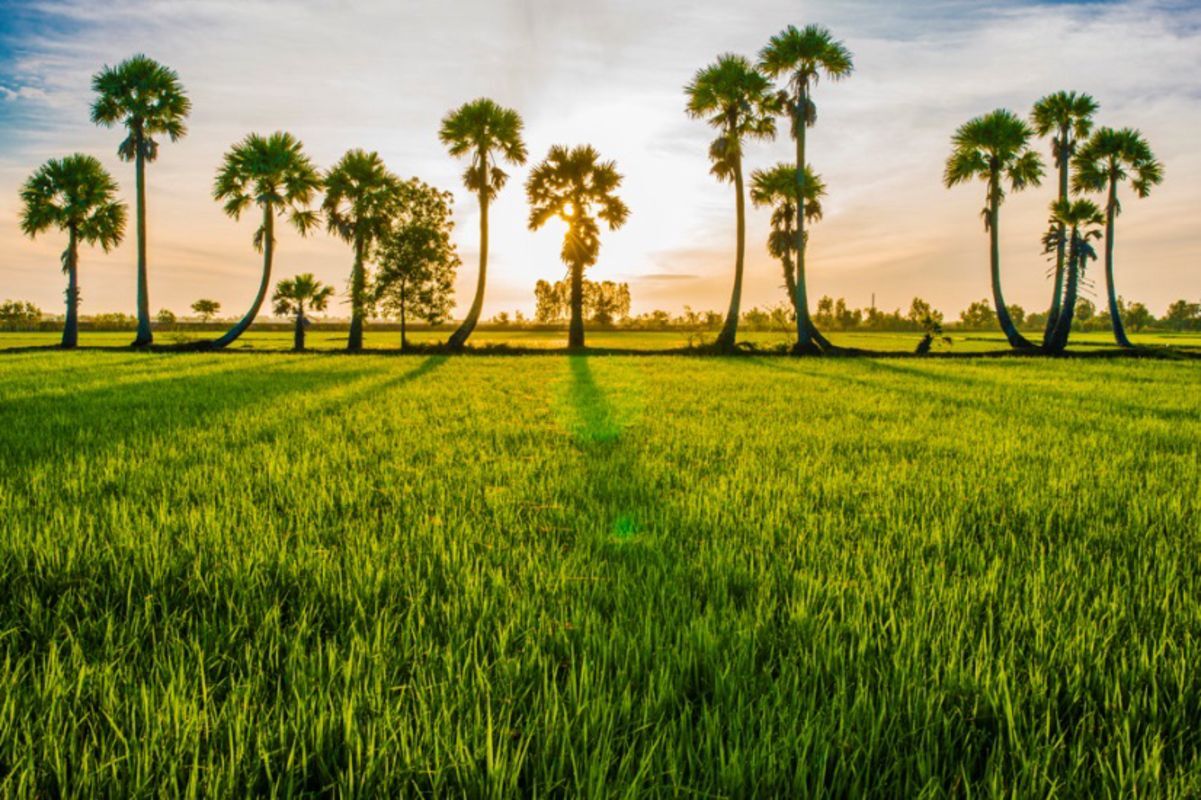 Capture the dynamic beauty of An Giang’s tropical monsoon