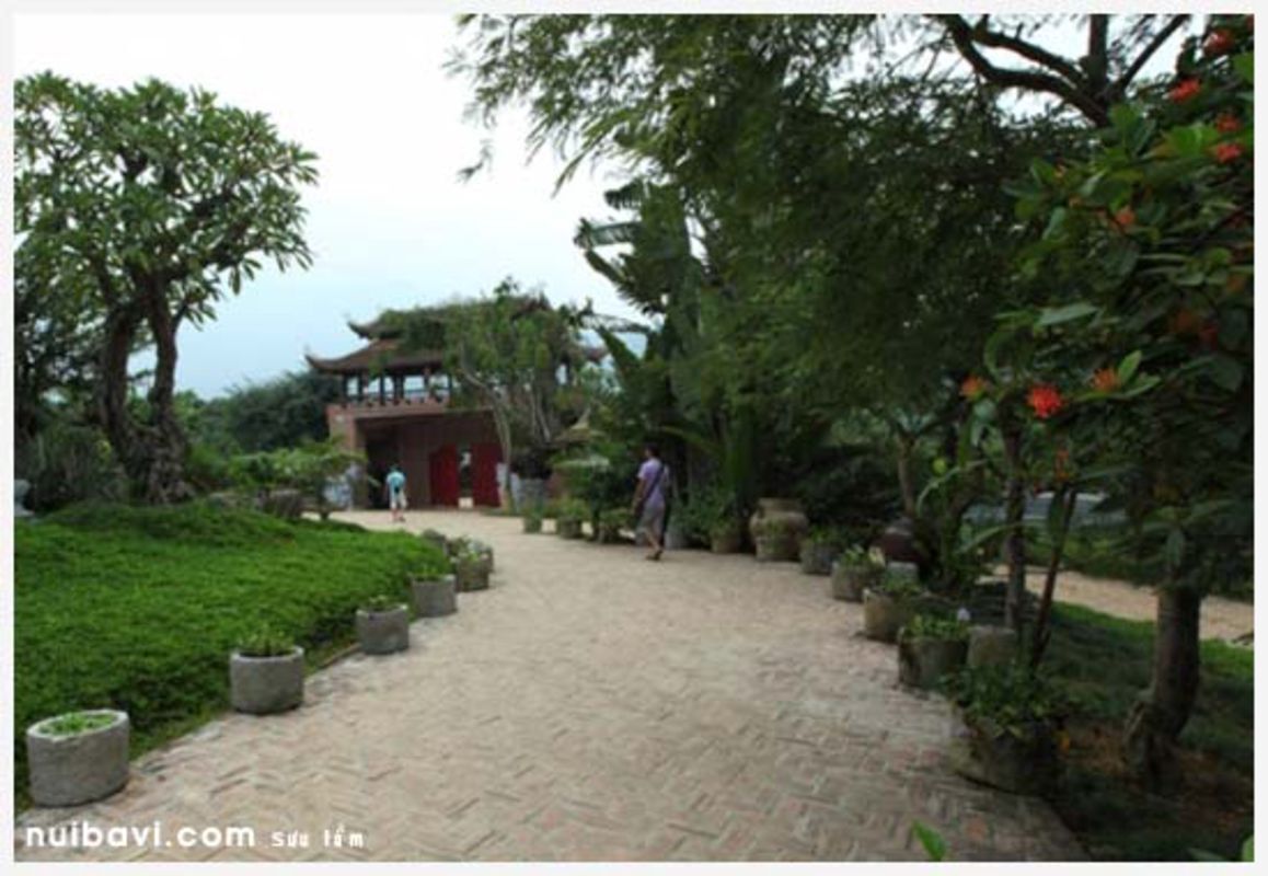 Dive into the authentic charm of Ba Vì Travel