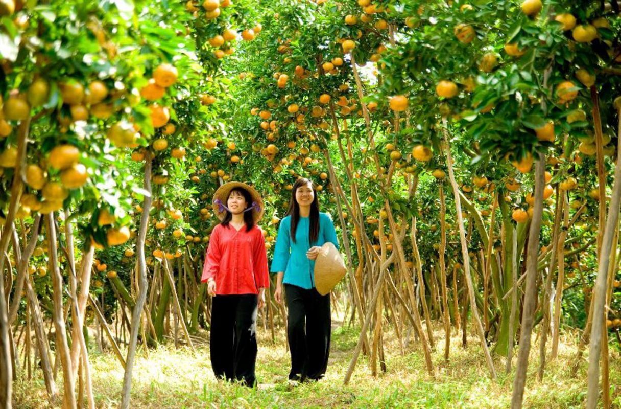 Photograph the vibrant allure of Tra Vinh’s culture
