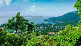 Dive into the vibrant charm of Da Nang Travel