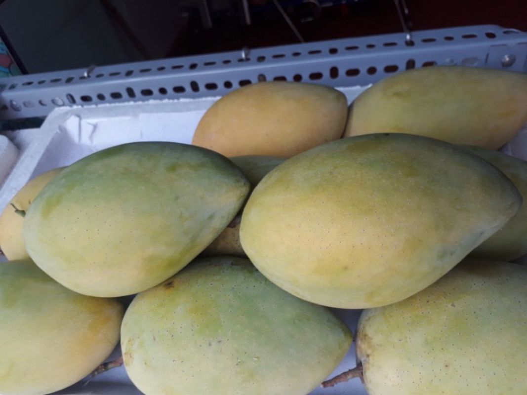 Experience Cai Be Floating Market Tours with sustainable adventures
