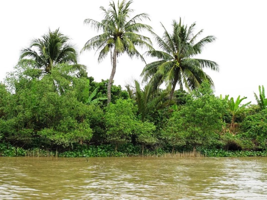 The Turtle Island - Start your Tien Giang Travel with serene vistas