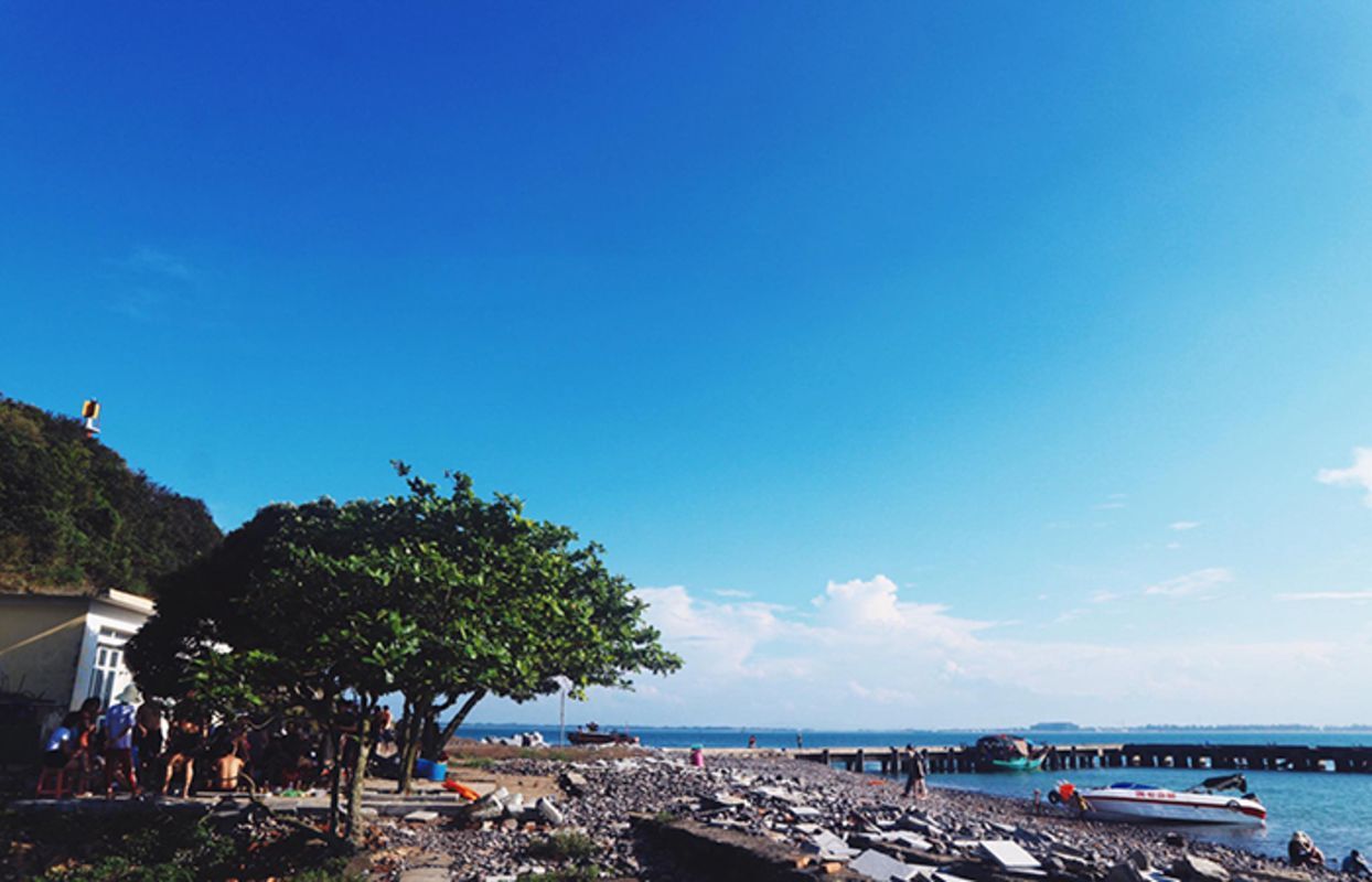 Photograph the eco-friendly allure of Nghe An’s heritage