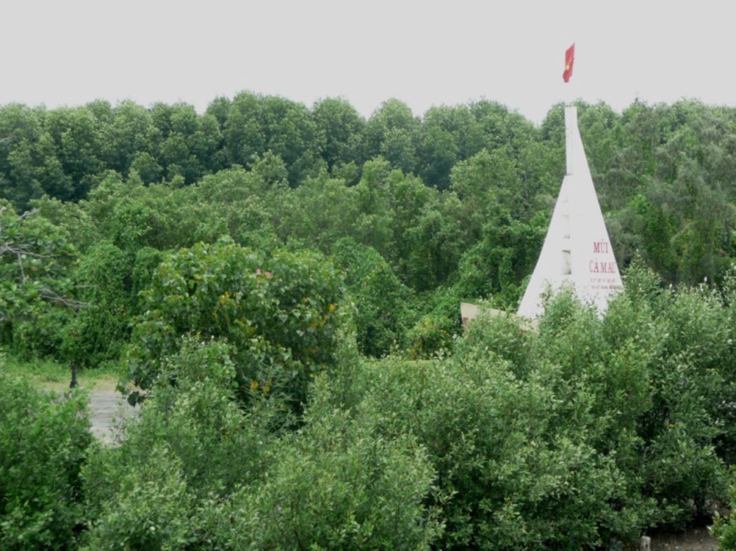 Photograph the natural allure of Ca Mau’s heritage