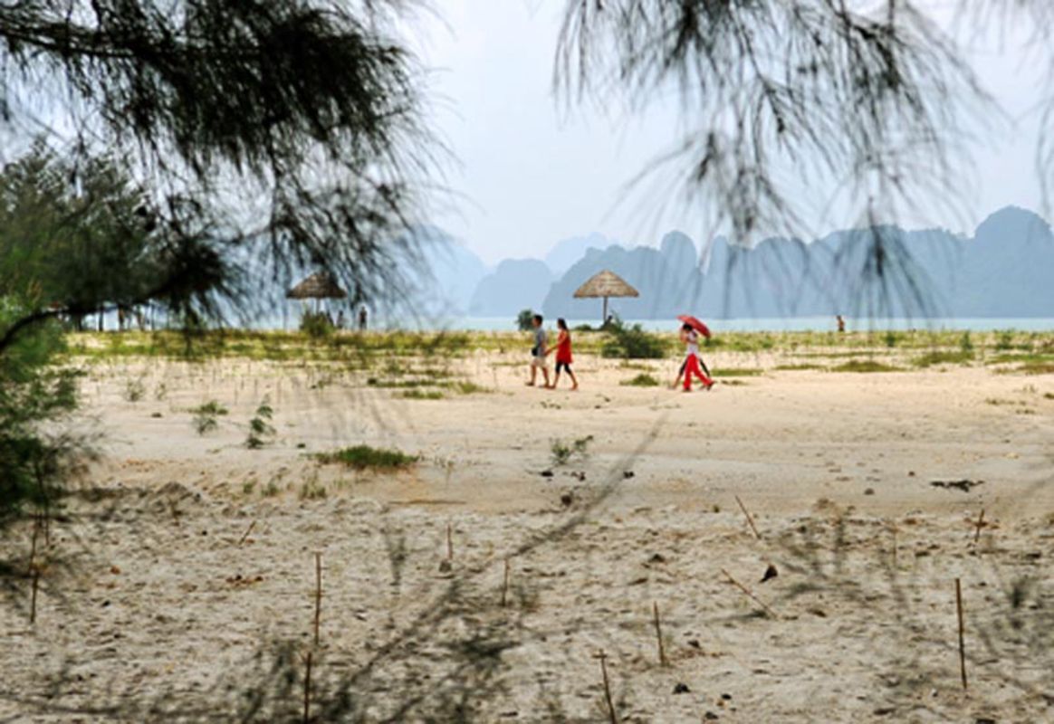 Dive into the cultural charm of Bai Tu Long Travel