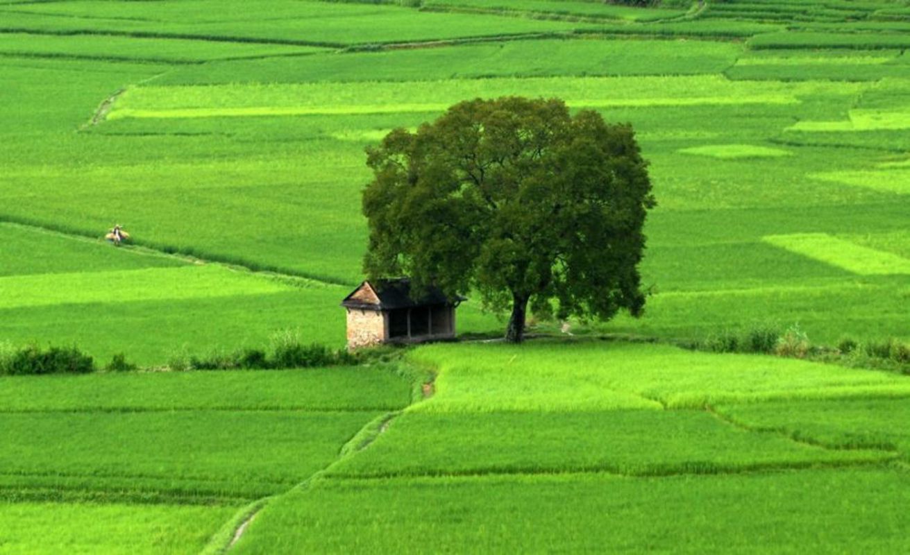 Dive into the rural charm of Thai Binh Travel