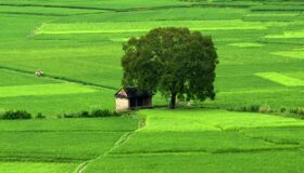 Dive into the rural charm of Thai Binh Travel