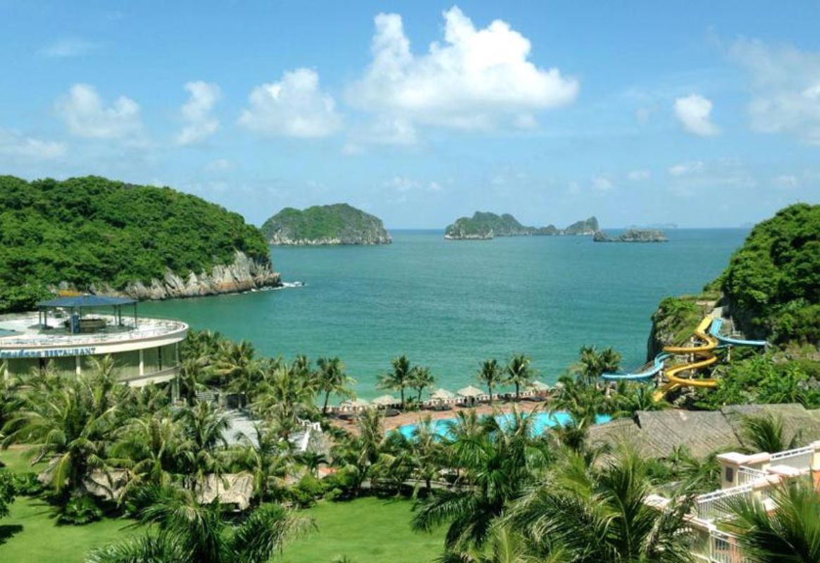 Photograph the rare wildlife of Cat Ba’s conservation efforts