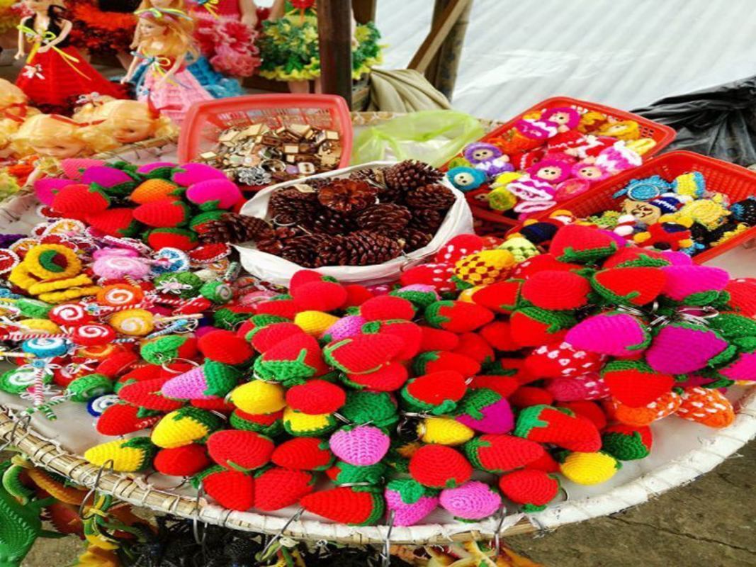 Dive into the vibrant charm of Da Lat Travel