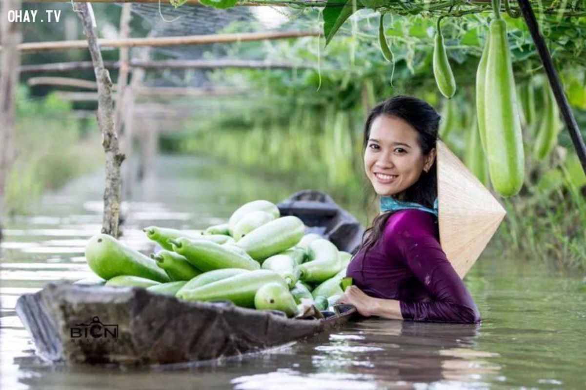 Seize the vibrant spirit of Vinh Long Travel
