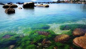 Dive into the vibrant charm of Binh Ba Island Travel