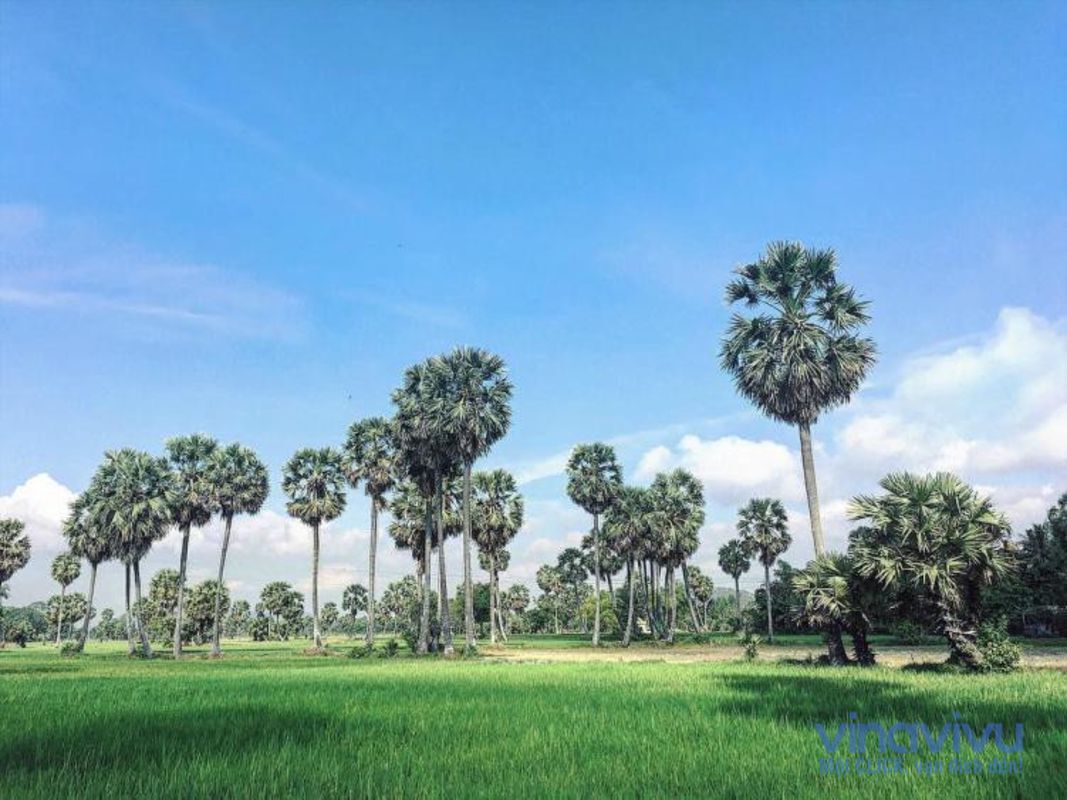 Photograph the historic allure of Long Xuyen’s heritage