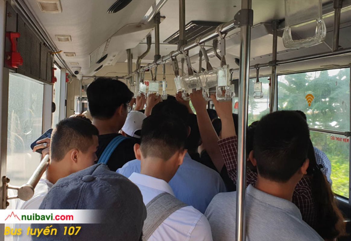 Learn Hanoi’s natural heritage with expert insights