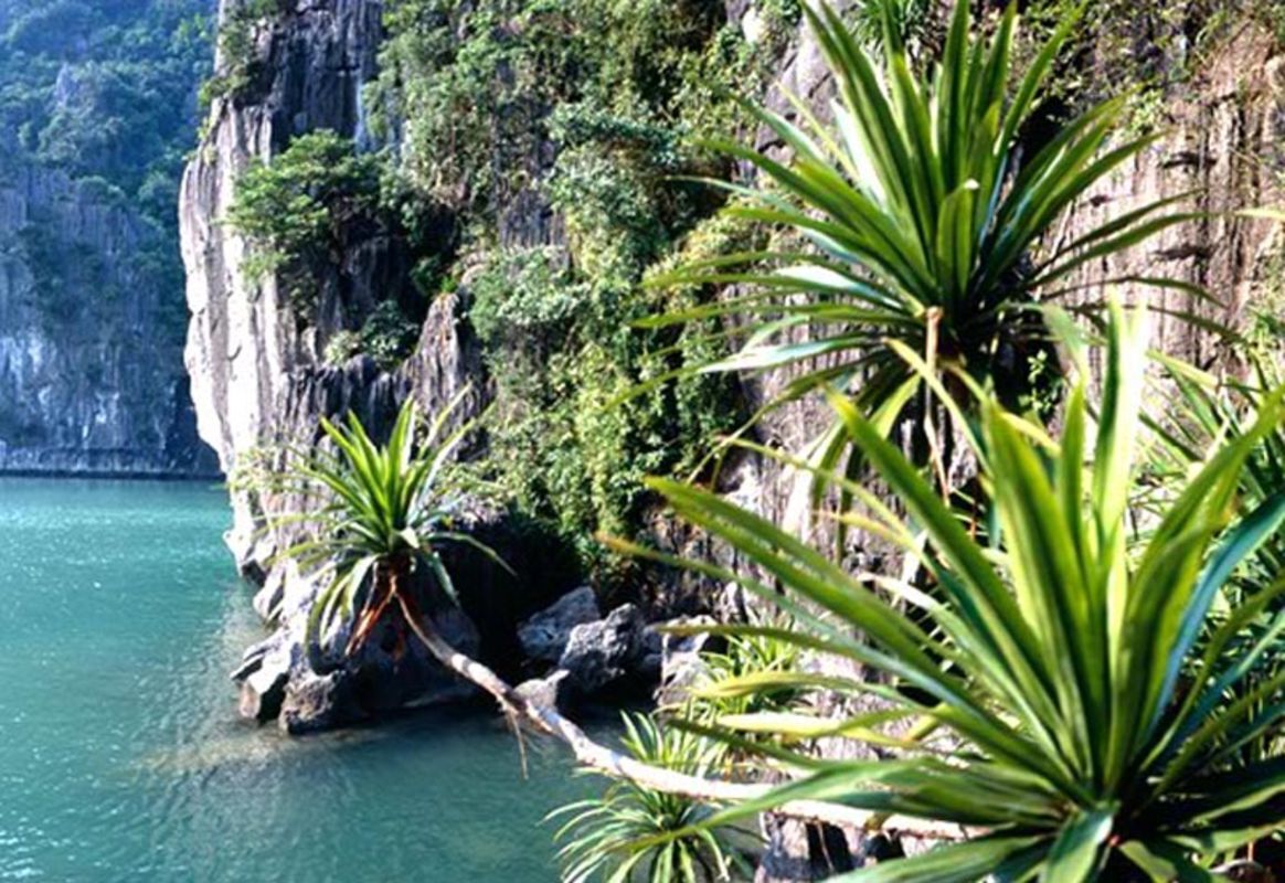 Bai Tu Long National Park - Start your Bai Tu Long Travel with tranquil vistas