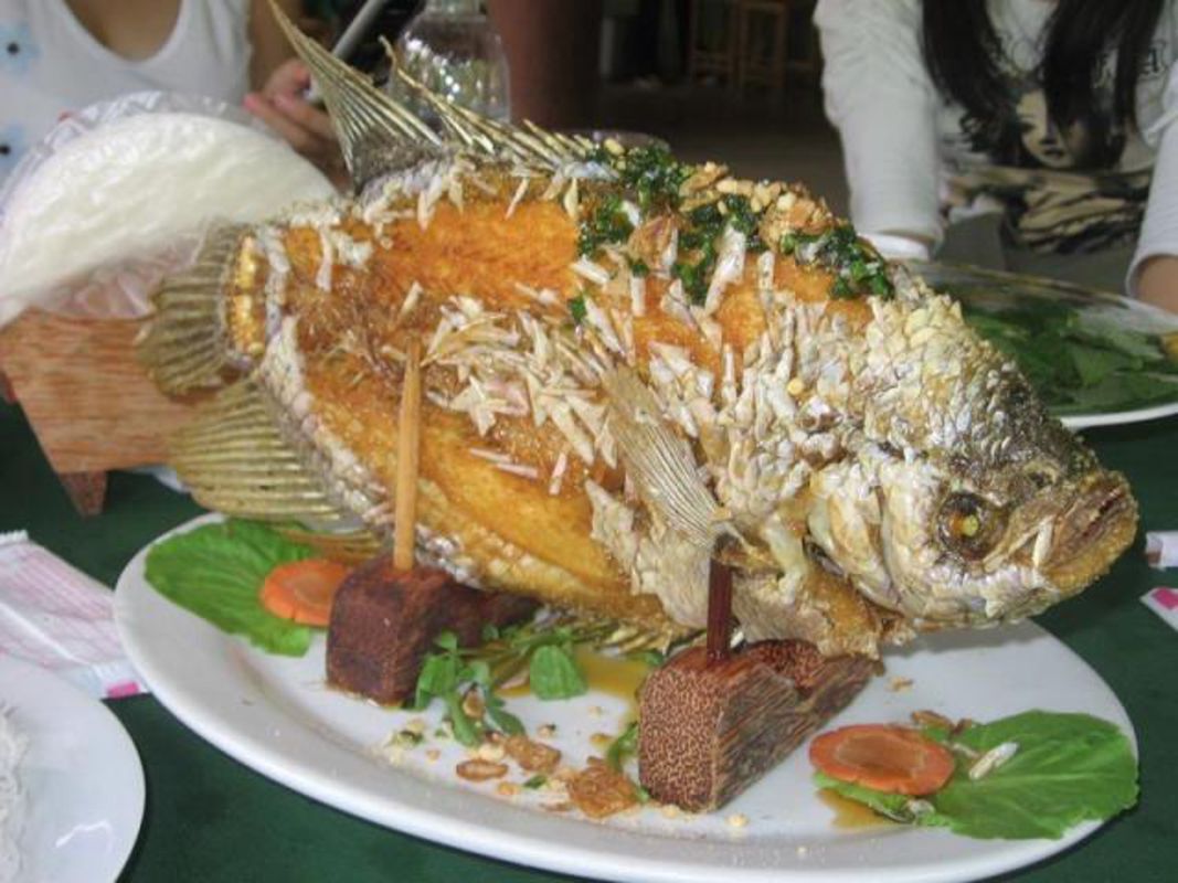 Capture the savory delight of Ben Tre’s culinary gem