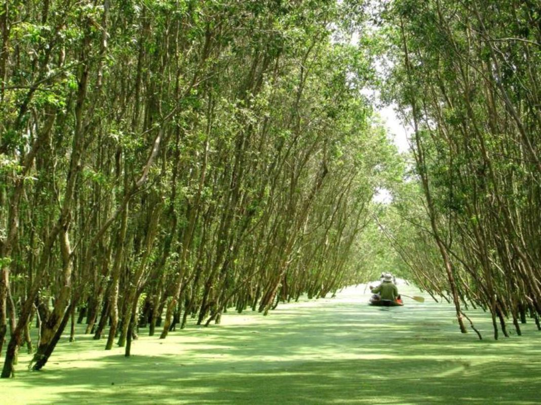 Lung Ngoc Hoang Nature Reserve Area - "Khu Bảo Tổn Thiên Nhiên Lũng Ngọc Hoàng"