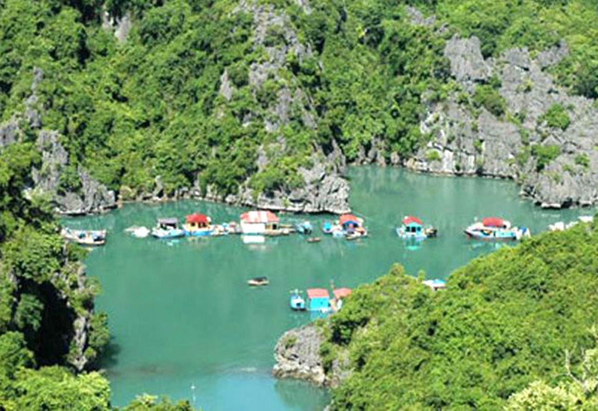Visit the fishing village of Cong Dam - Learn Bai Tu Long’s heritage with expert insights