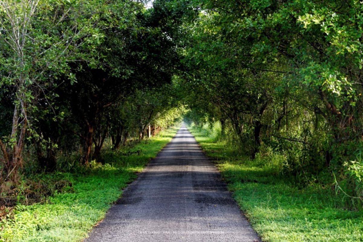 Capture the lively essence of Hau Giang’s Mekong Delta gem