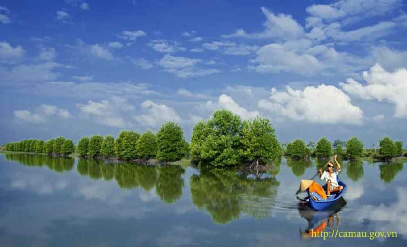 Capture the wild beauty of Ca Mau’s eco-tourism gem