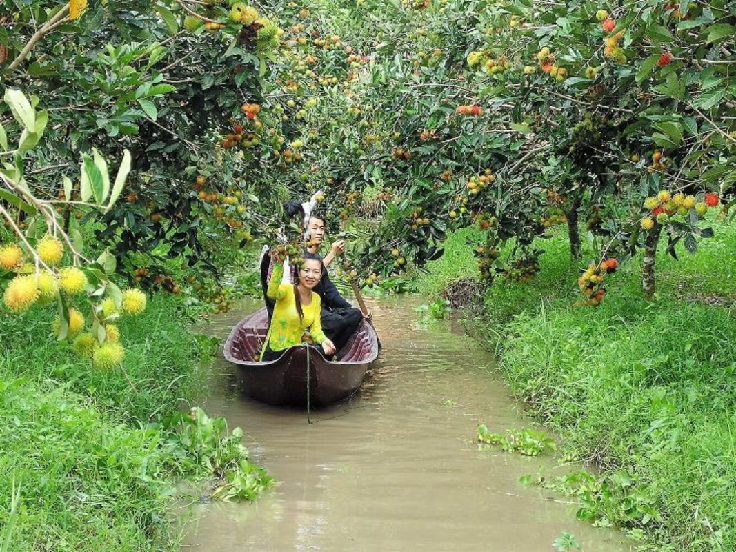Capture the sustainable charm of Tien Giang’s ecotourism