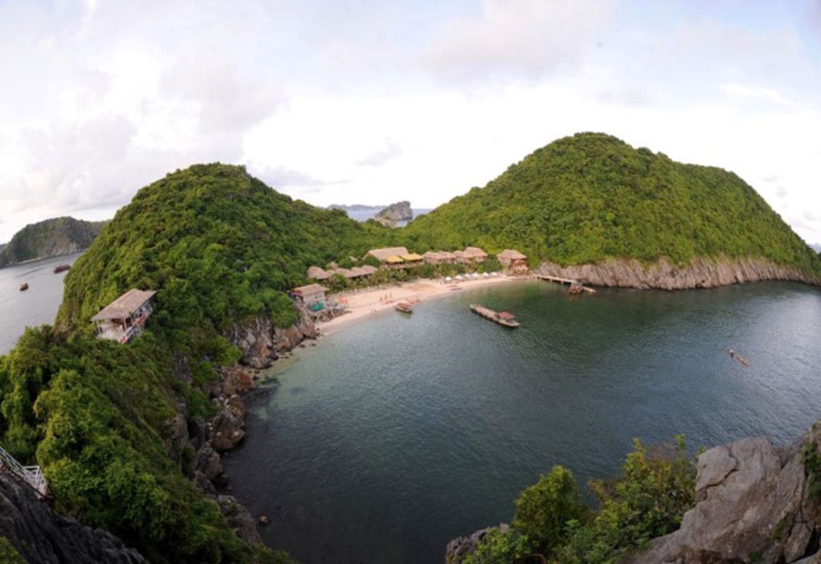 Capture the authentic charm of Cat Ba’s ecosystem
