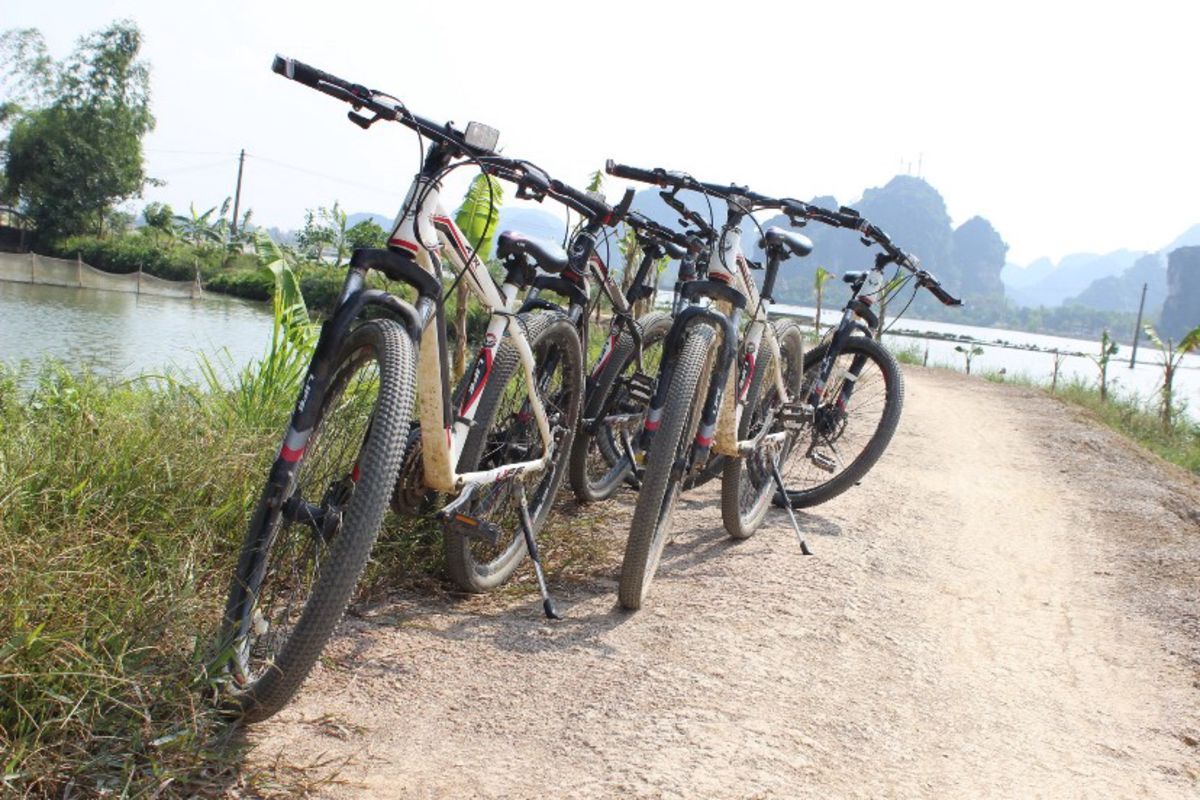 Photograph the natural allure of Ninh Binh’s landscapes