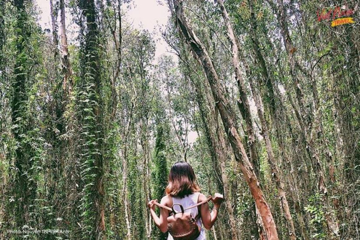 Photograph the authentic allure of Long An’s waterways