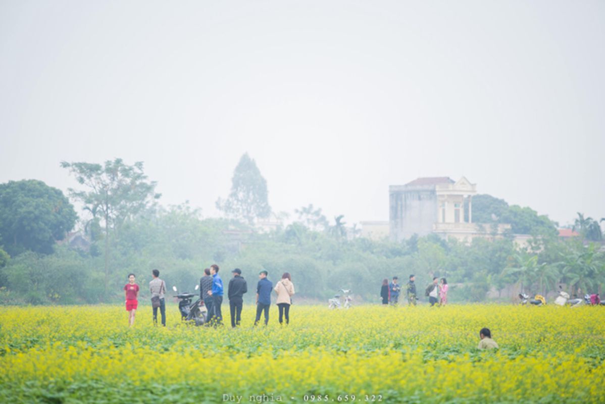 Dive into the adventurous charm of Thai Binh Travel