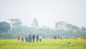 Dive into the adventurous charm of Thai Binh Travel