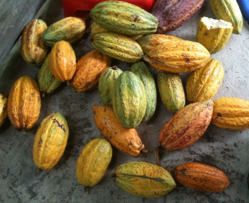 Start your Can Tho Travel with tranquil vibes