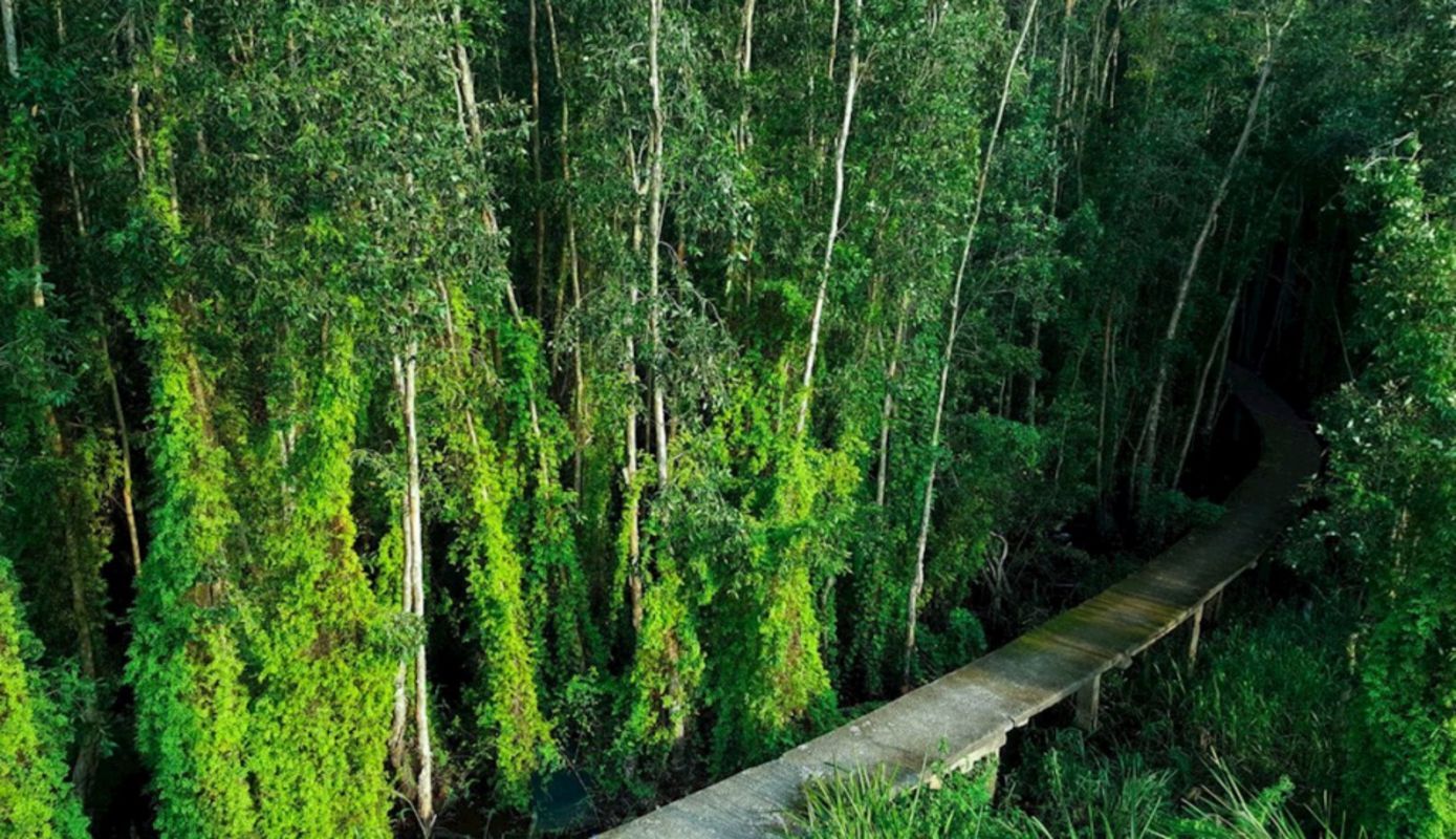 Capture the peaceful beauty of Long An’s eco-tourism gem