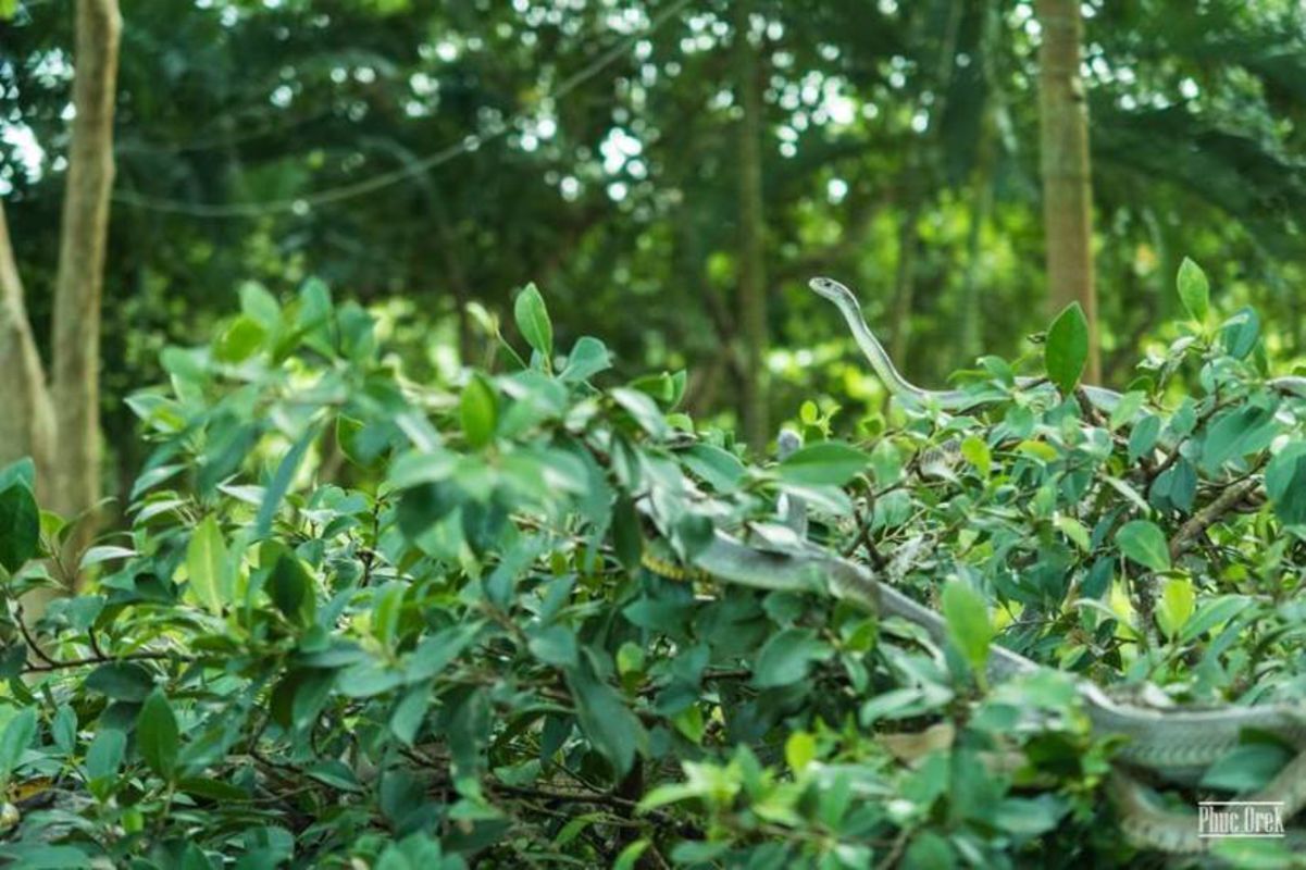 Experience Tien Giang Tours with sustainable exploration