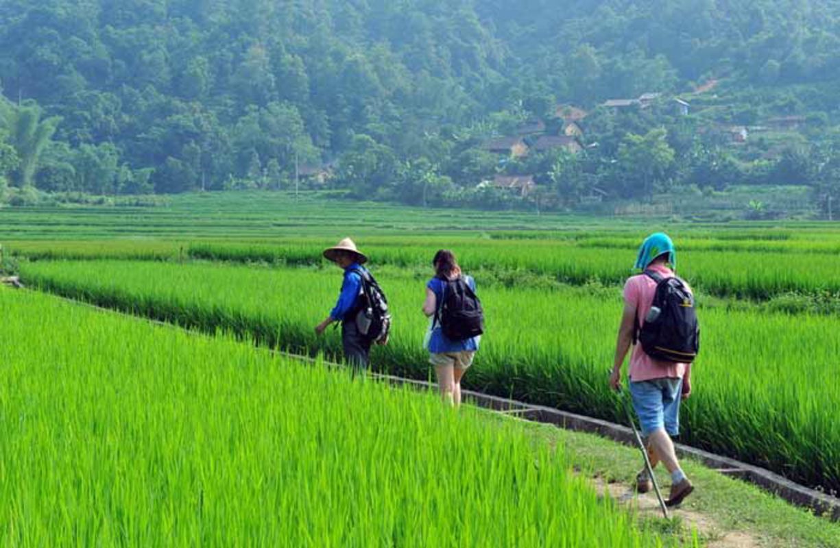 Photograph the scenic allure of Phu Tho’s landscapes