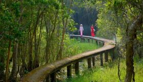Long An Region - Mekong Delta