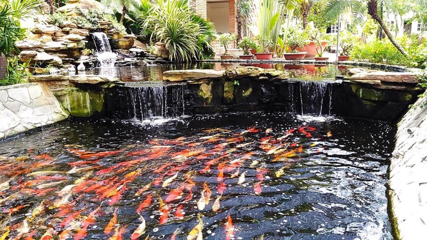 Capture the sustainable charm of Tra Vinh’s ecotourism