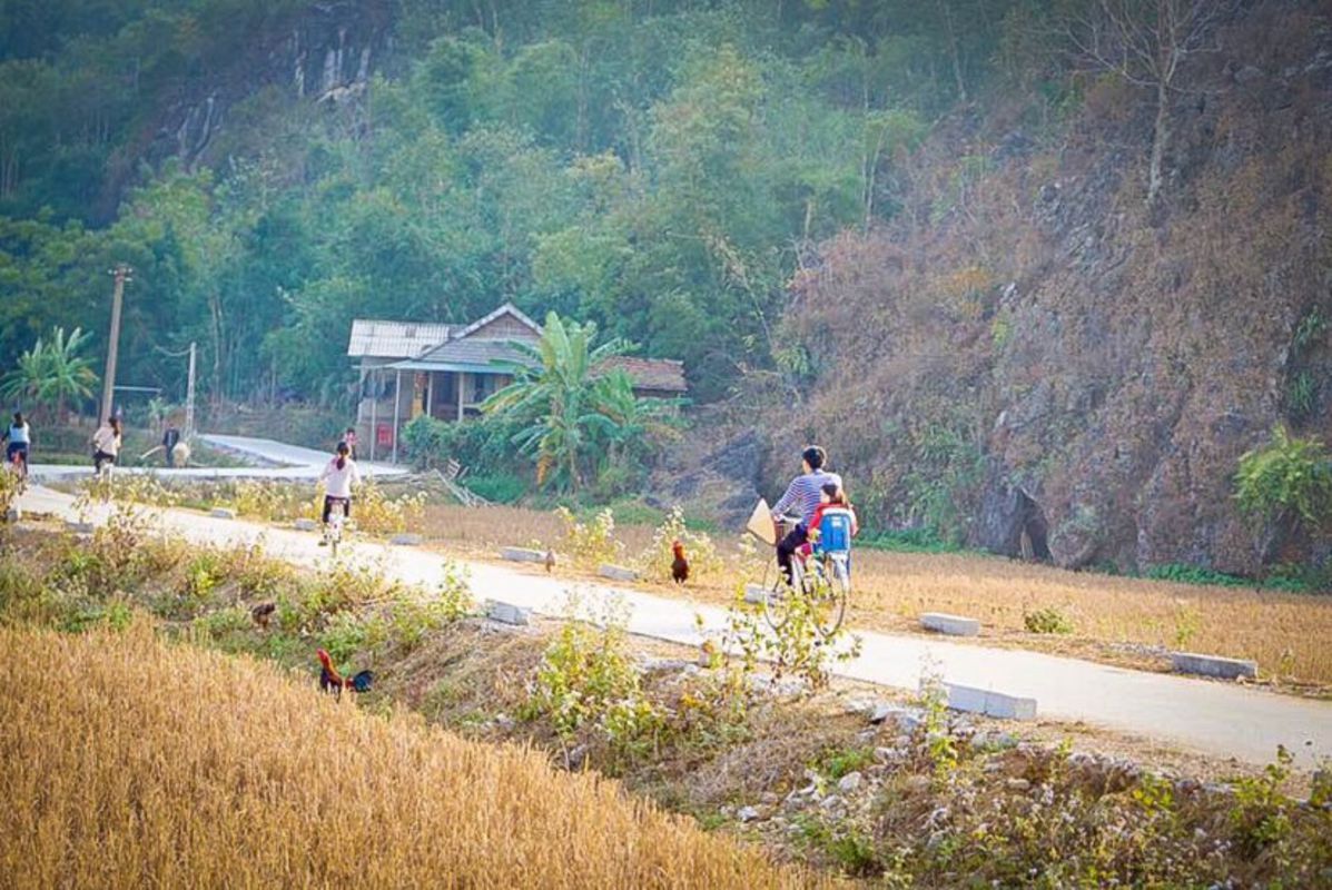 Dive into the lush charm of Phu Tho Travel