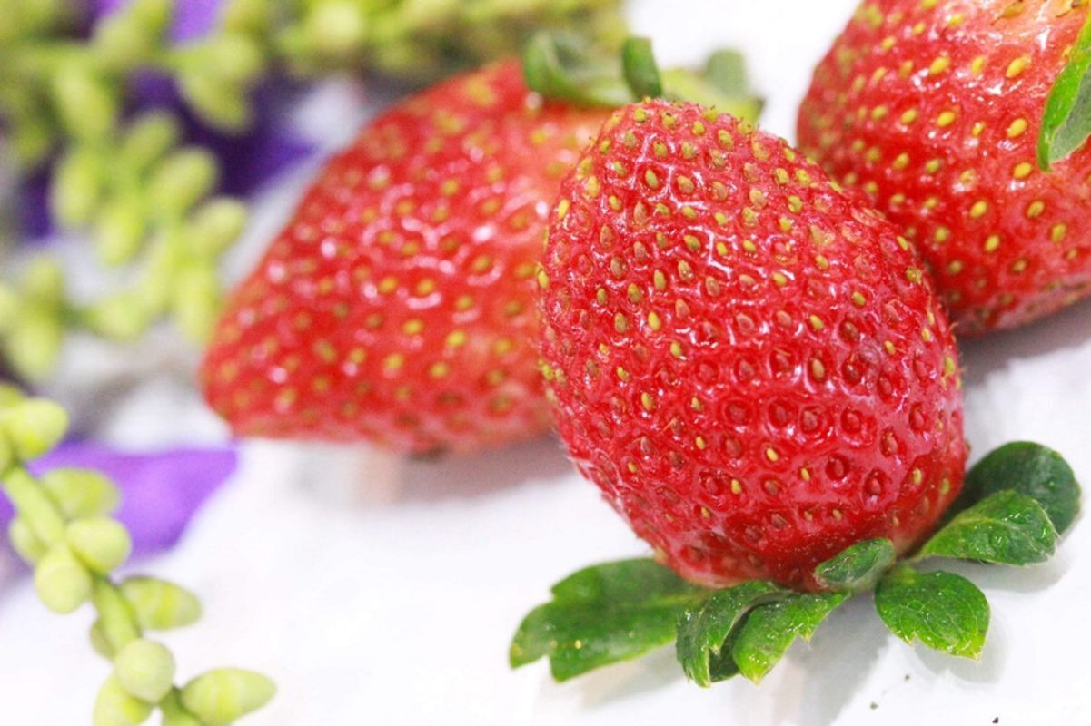 Dive into the fresh charm of Da Lat Travel