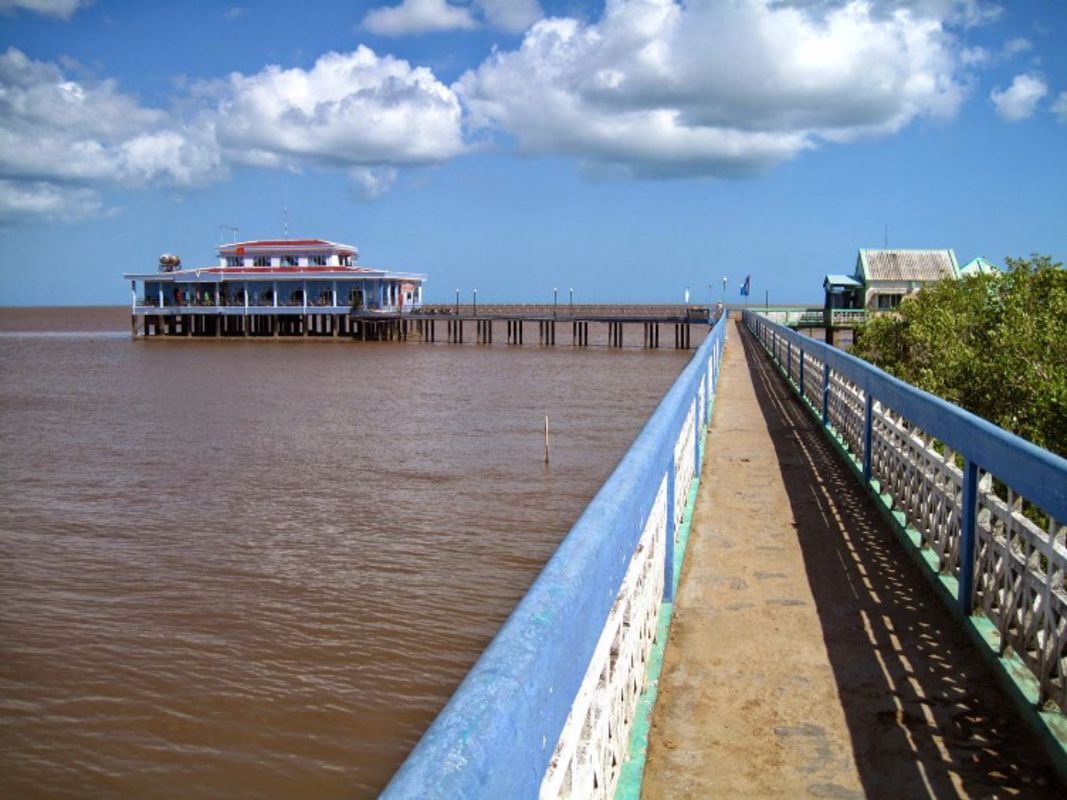 Seize the vibrant spirit of Ca Mau Travel