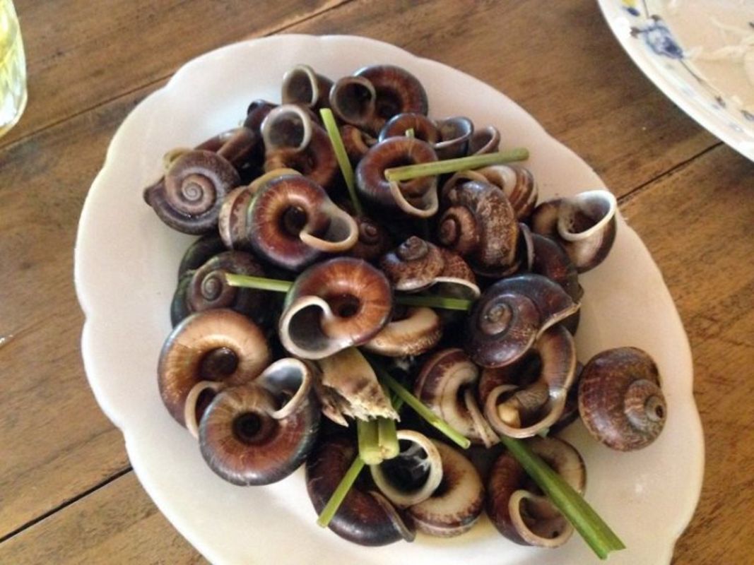 Photograph the aromatic allure of Ninh Binh’s delicacy