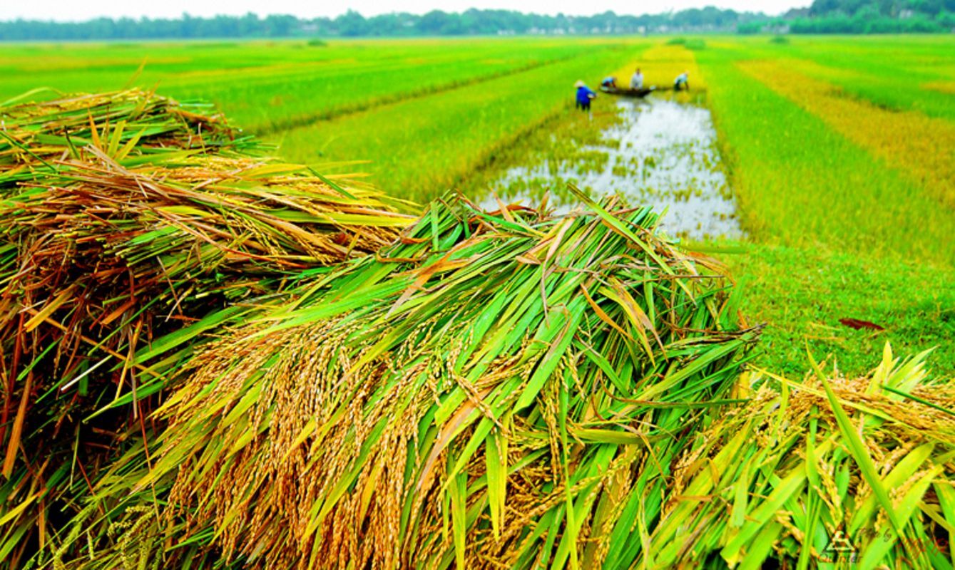 Experience Thai Binh Tours with sustainable adventures