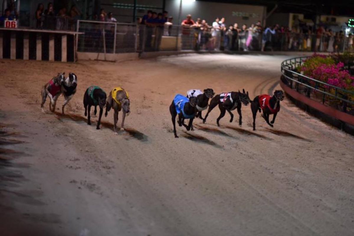 Start your Vung Tau Travel with coastal serenity