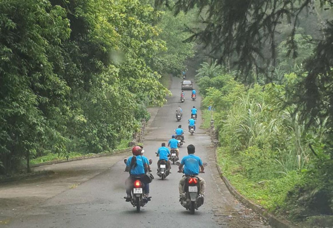 Trekking Bach Xanh trees in Ba Vi National Park 2026